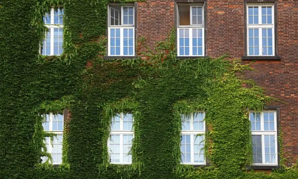 Windows of old house 1200x844 1