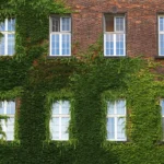 New Window Ideas For Your House