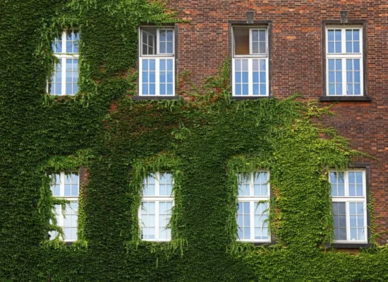 New Window Ideas For Your House