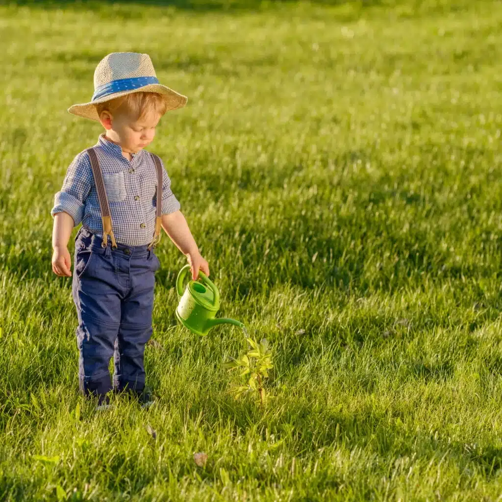 Lawn care Lawn care
