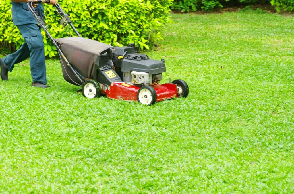 Lawn Mowing, Lawn for Winter,