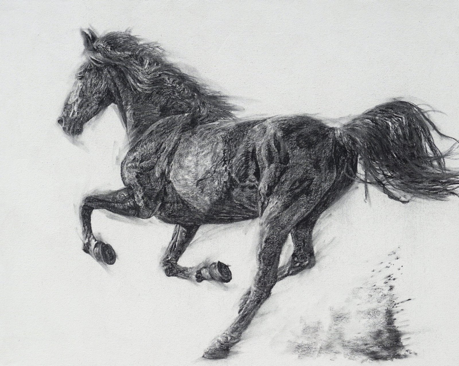 Charcoal Painting Of Horse On Canvas Draw Animals Charcoal Painting Of Horse On Canvas Draw Animals