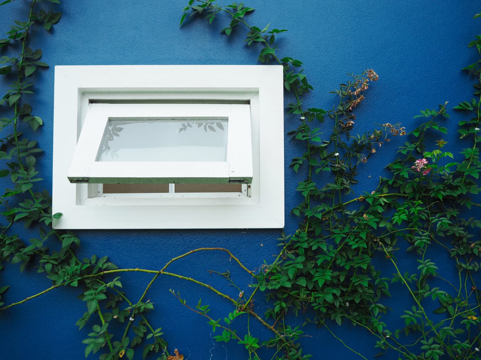 Awning Window