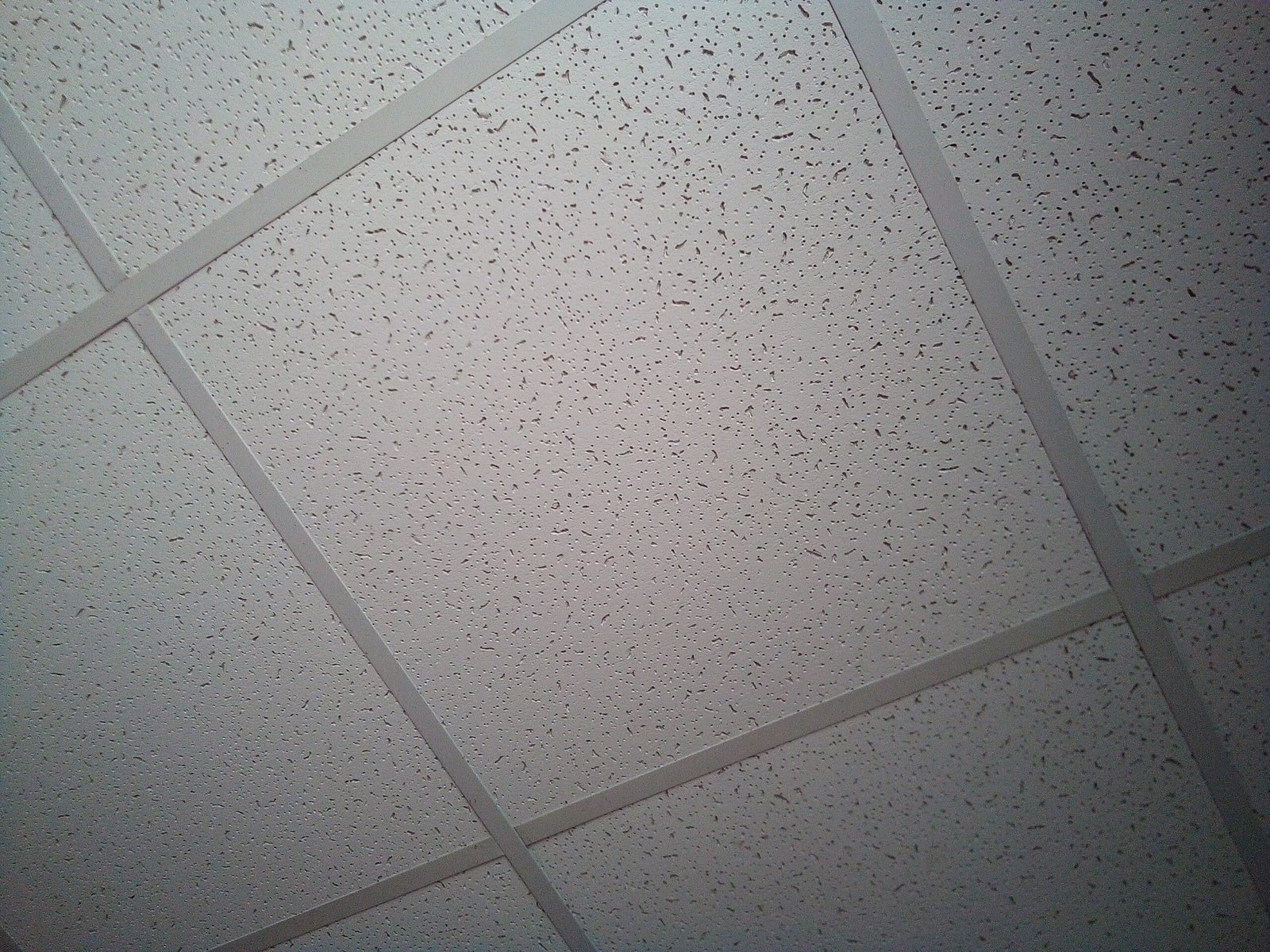 Construction of a false ceiling in the office