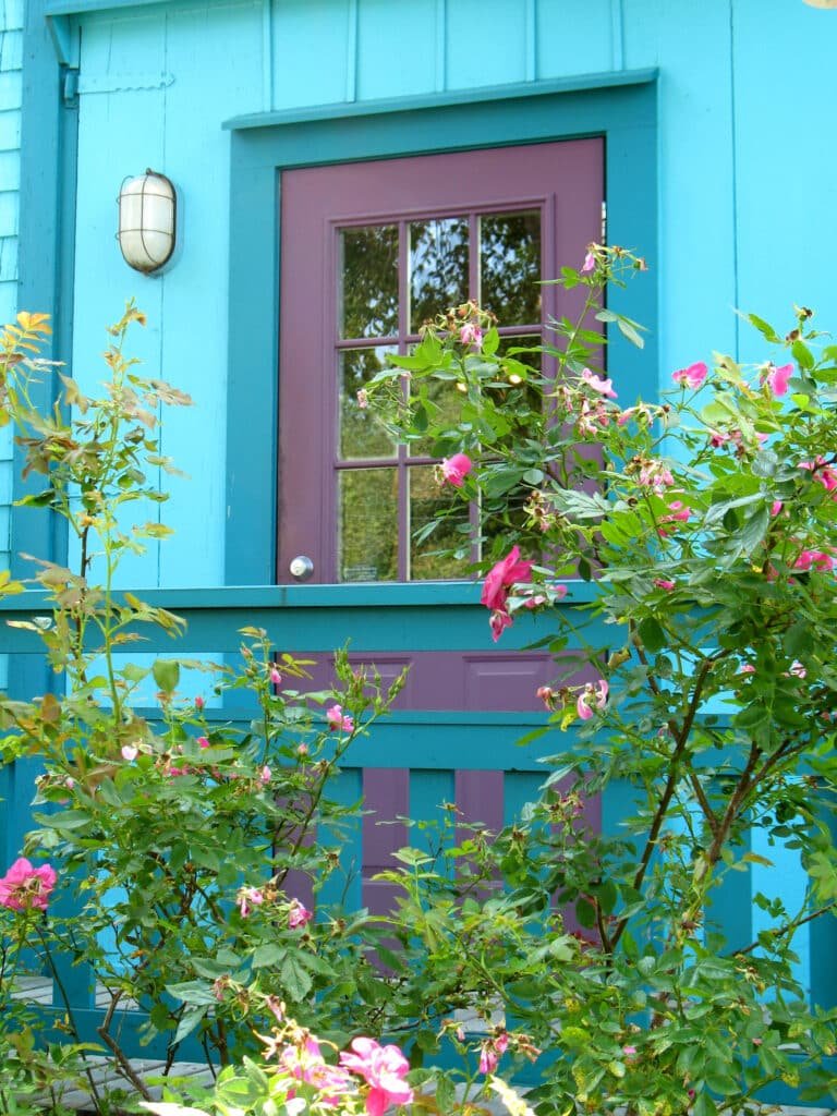 Plum,Door,On,Teal,Blue,House,With,Roses