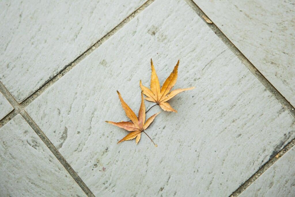 Floor Grout Old Floor Grout Old