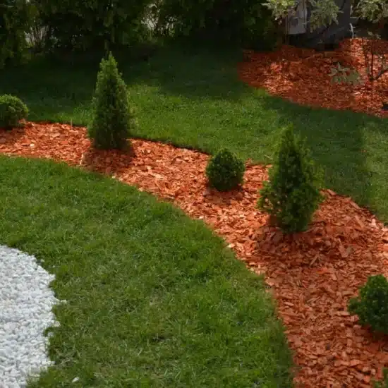 Plants with pine mulch 1200x801 1