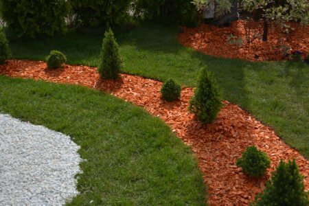 Plants with pine mulch