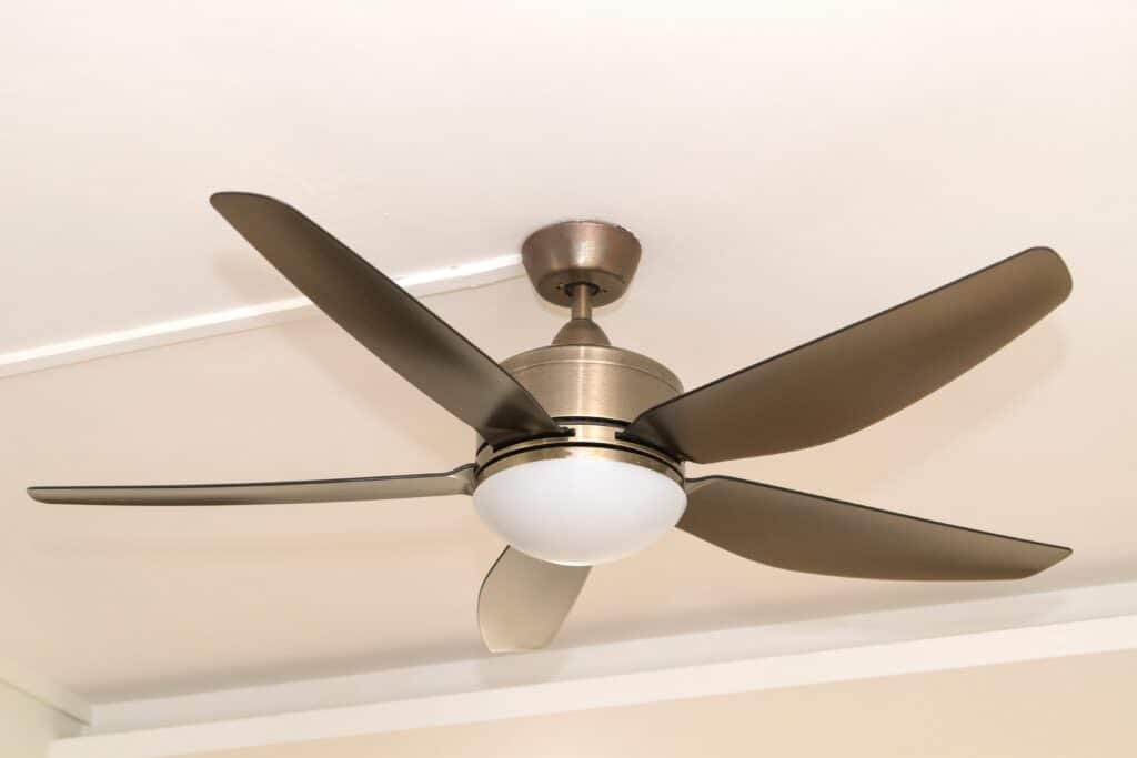 Ceiling fan with five blades hangs from white ceiling