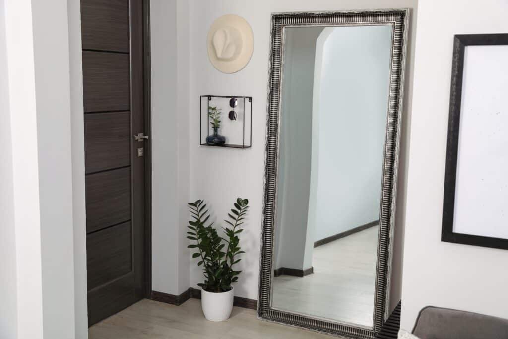 Modern hallway interior with large mirror and houseplant Modern hallway interior with large mirror and houseplant