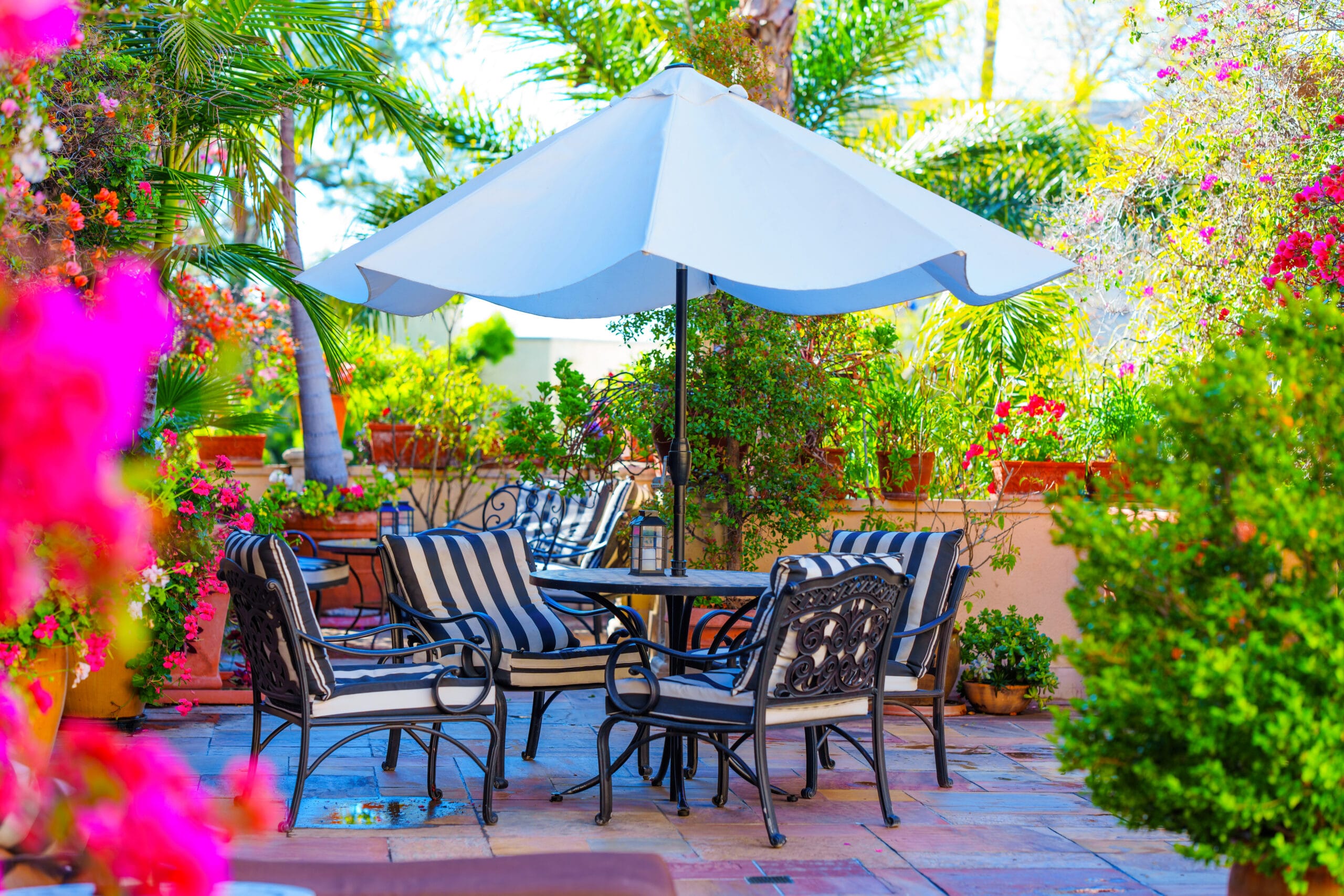 Sunny Patio Garden with Umbrella