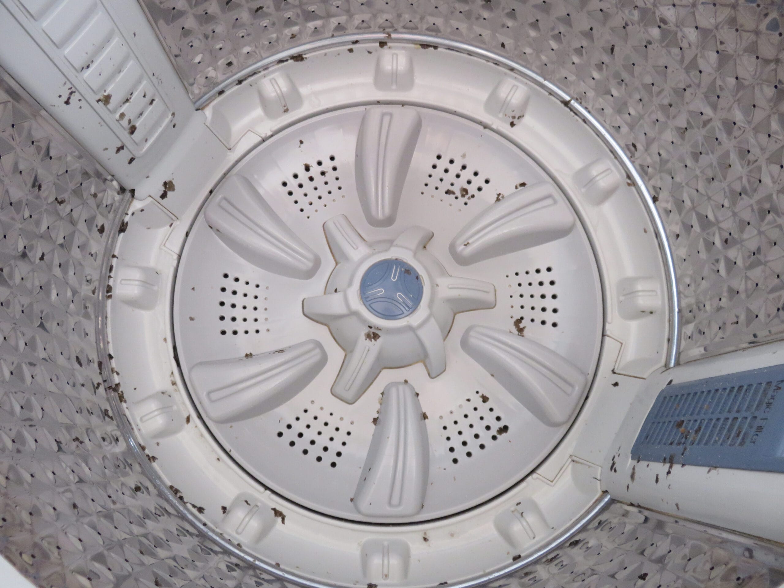 How to Clean Washing Machine Top Loader