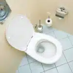 Overflowing Toilet 1200x797 1