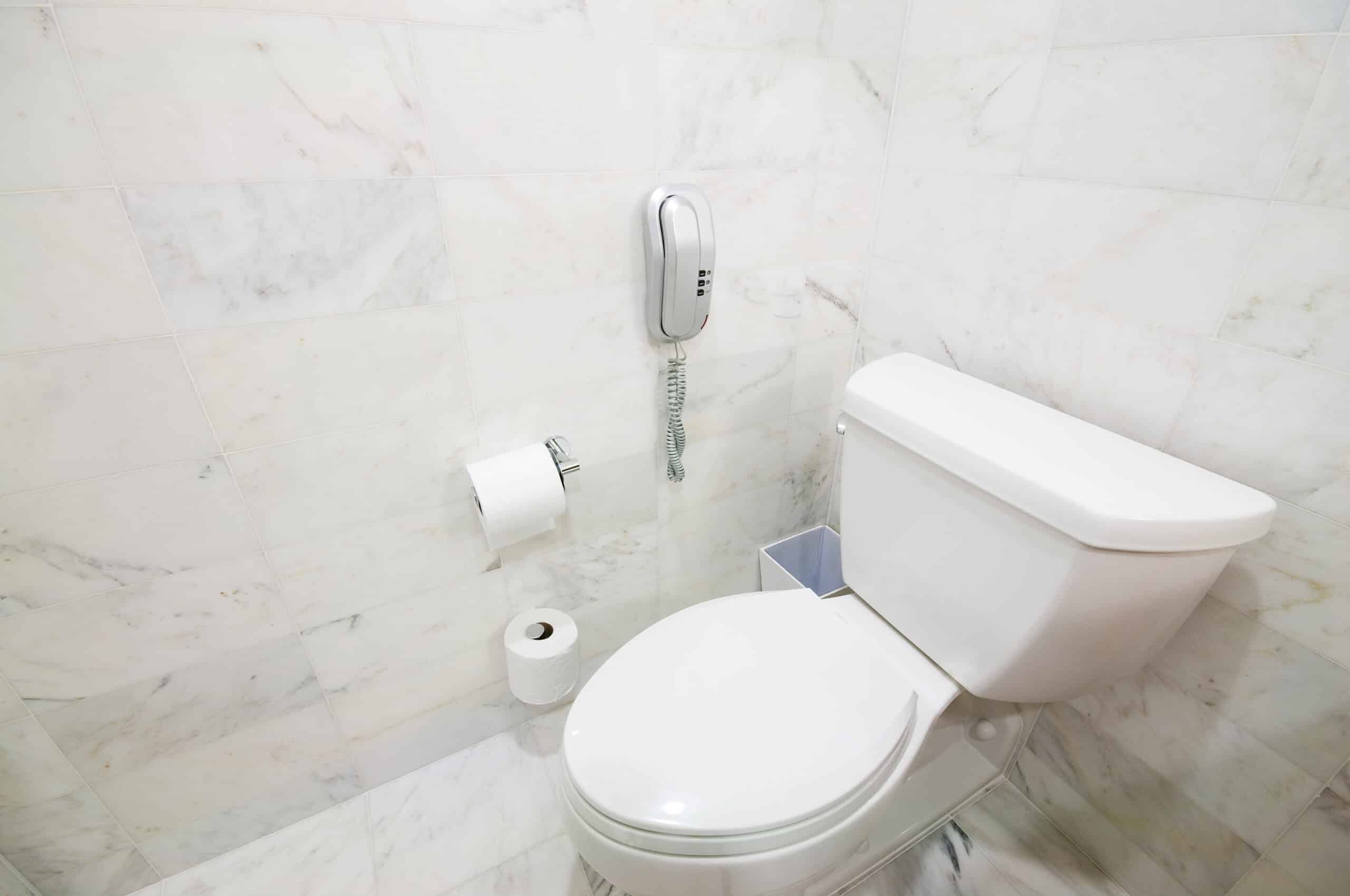 Toilet in the bathroom