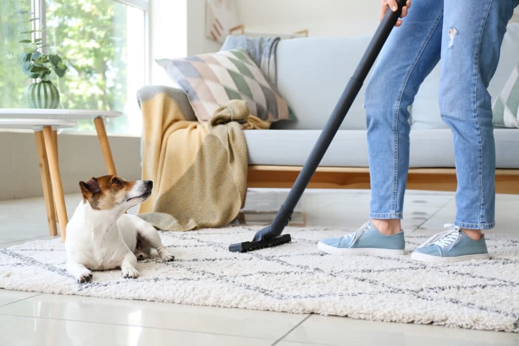 Pet-Friendly Carpet Cleaning Solutions