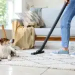 Carpet Cleaning Solutions 1200x800 1