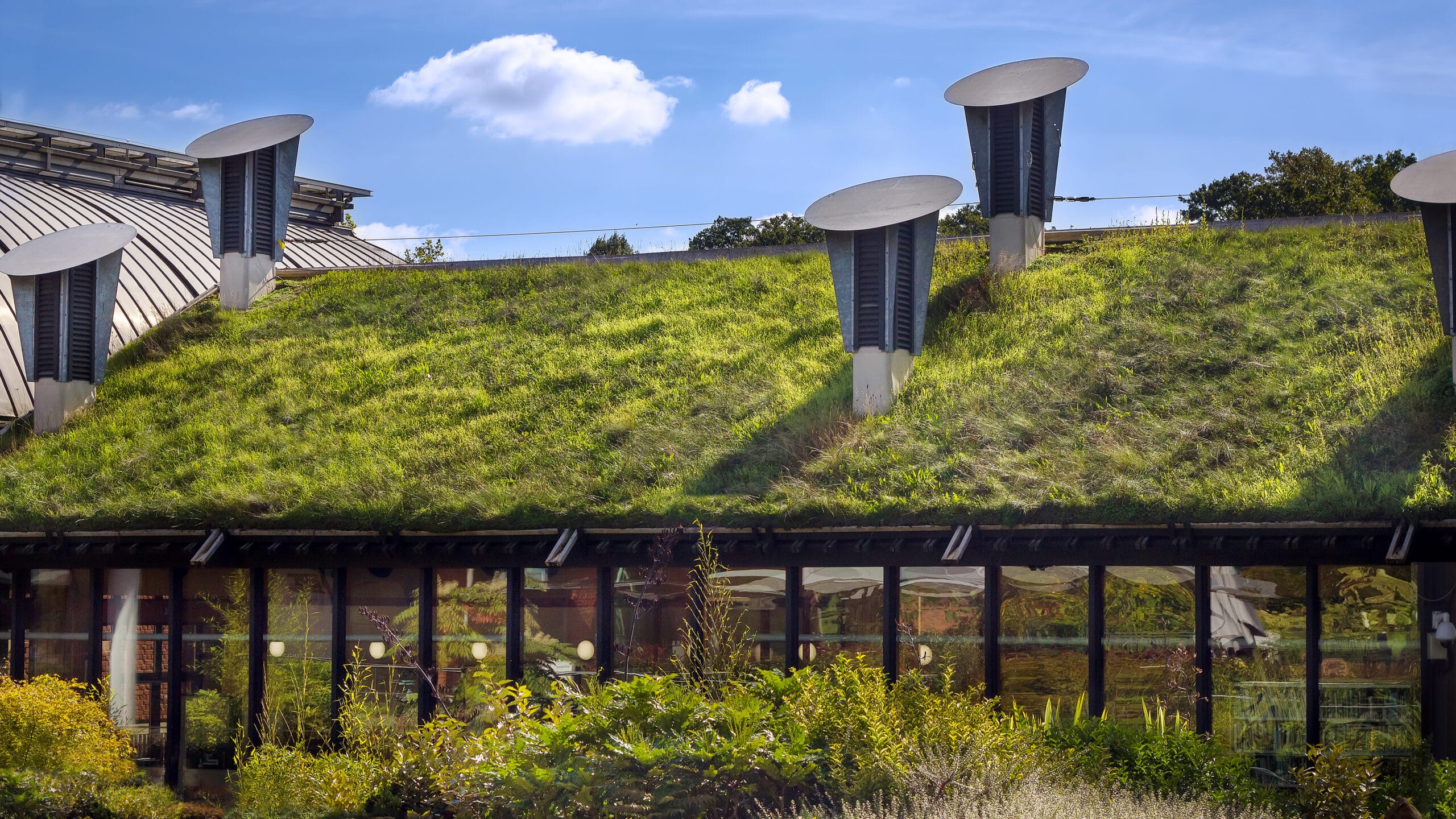 Green 'Living' Roof 