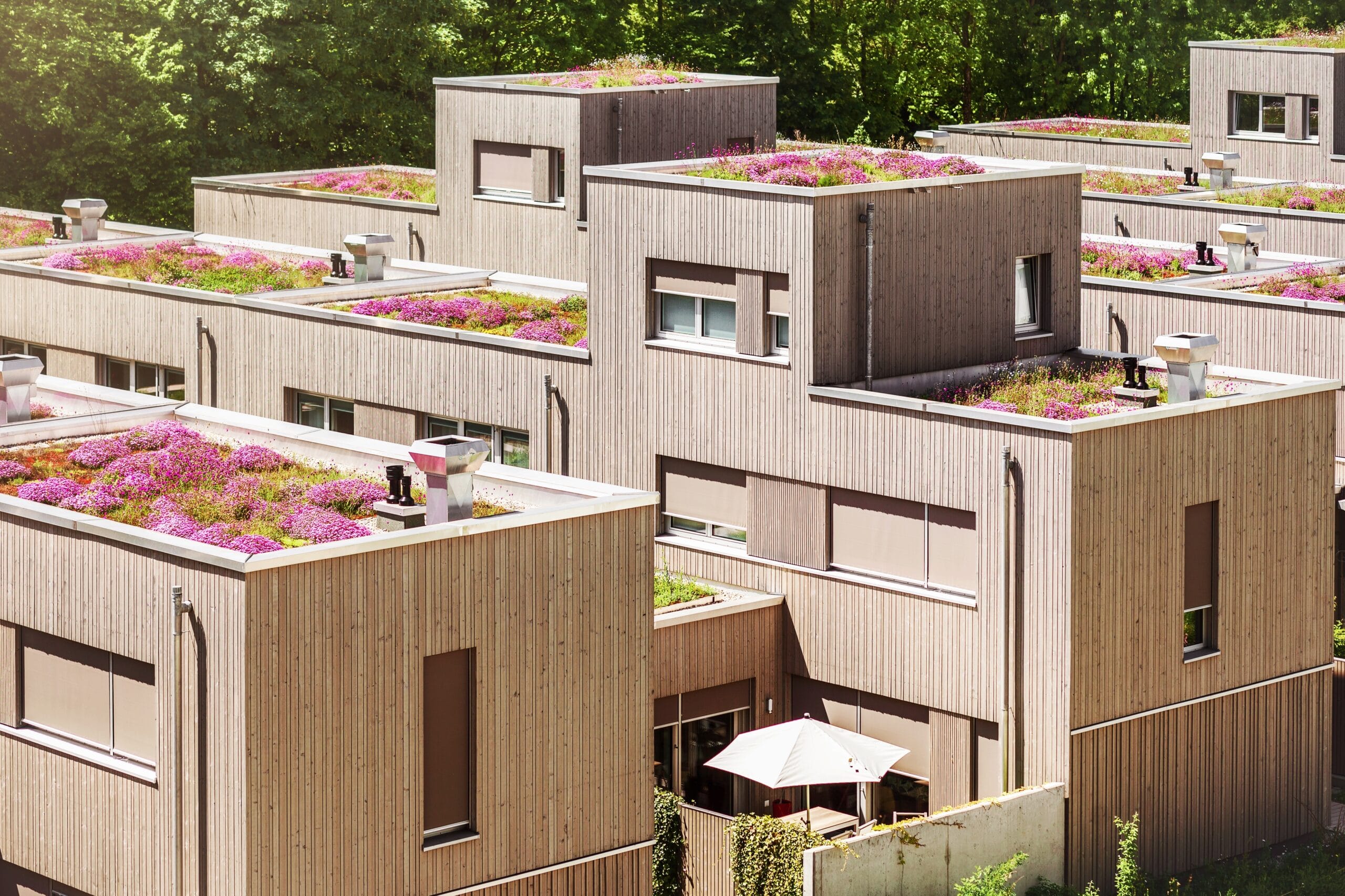 Green Roofs Home Improvement Ideas