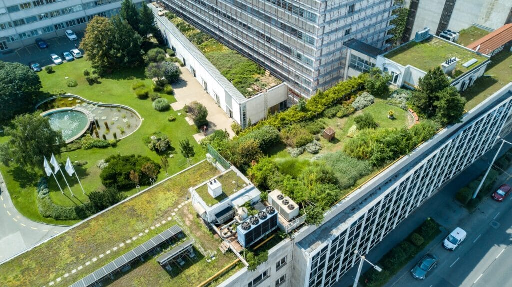 Urban green rooftop garden with trees