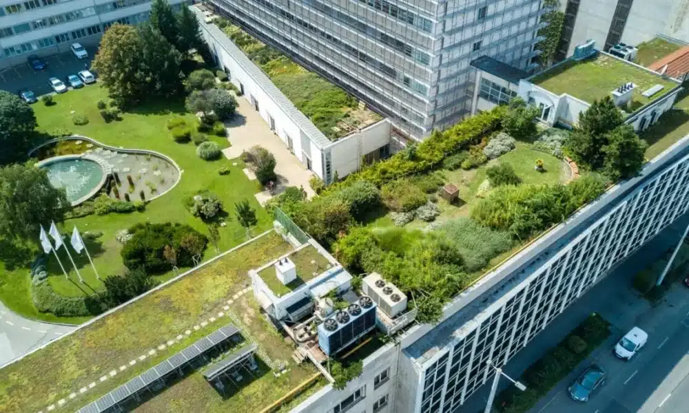 Urban green rooftop garden with trees 1200x674 1