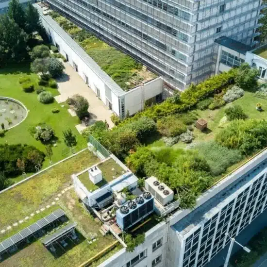Urban green rooftop garden with trees 1200x674 1