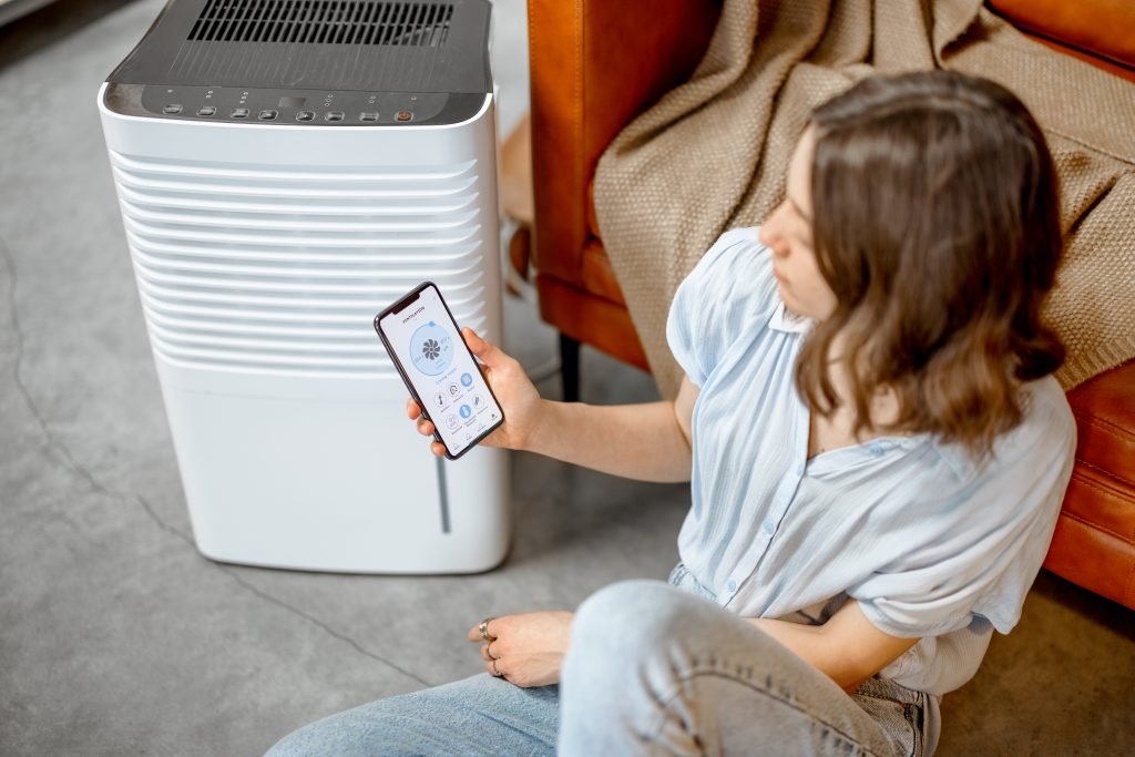 Dehumidifier for Basement