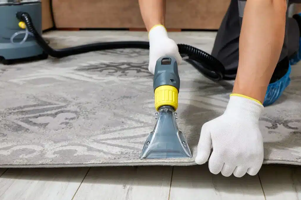 Best carpet cleaning products