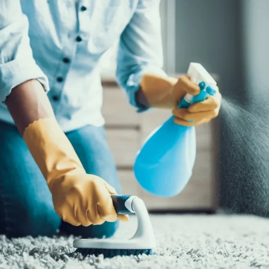 Best Carpet Cleaning Products for a Spotless Home in 2025