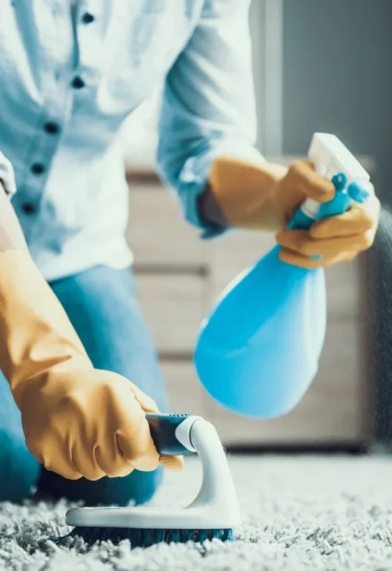 Best Carpet Cleaning Products for a Spotless Home in 2025