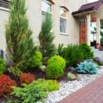 Front Yards Landscaping