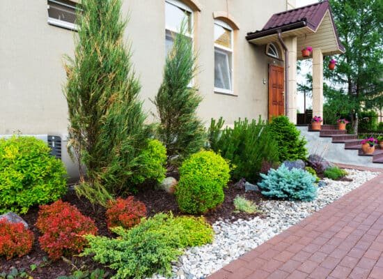 Front Yards Landscaping