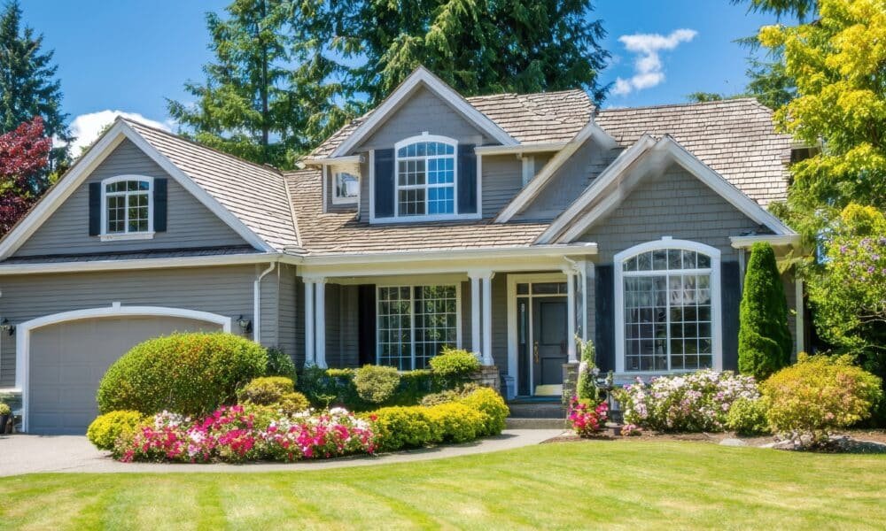 Home Renovation