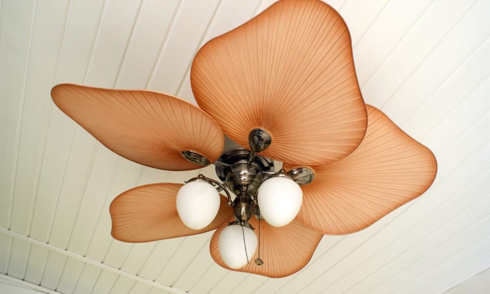 Ceiling Fan