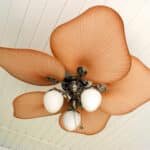 Ceiling Fan