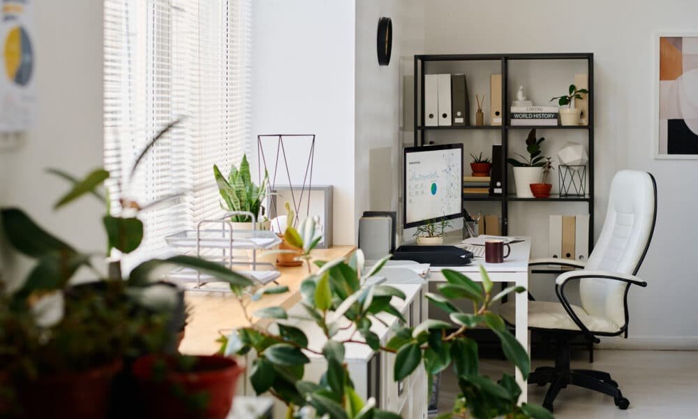 Office Setup Furniture