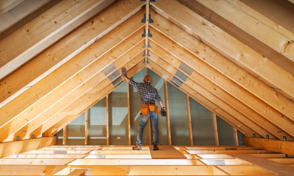 Attic inspection