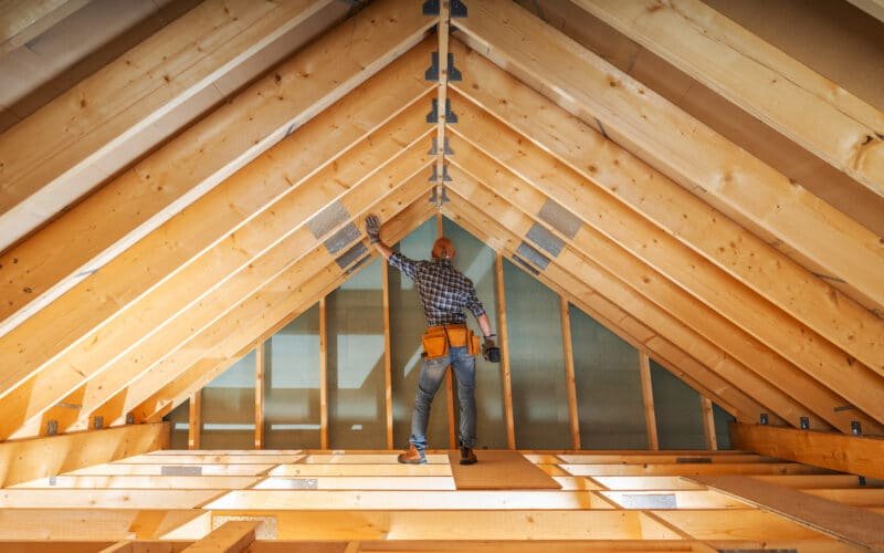 Attic inspection