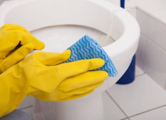 Toilet Cleaner