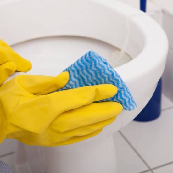 Toilet Cleaner