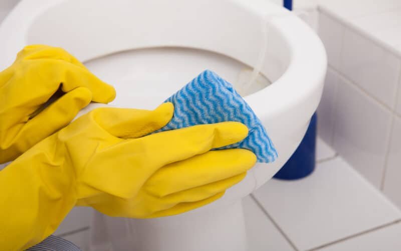 Toilet Cleaner