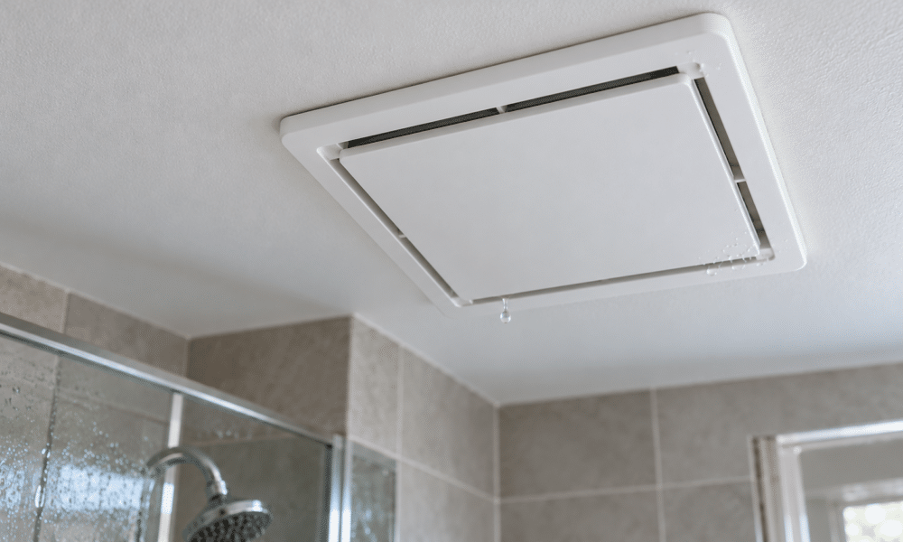 Minimalist bathroom fan, subtle moisture